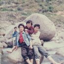 금성사 Daum카페