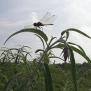 소풍나라 이미지