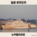 다원부대찌개 | 부산 후쿠오카 배편 시간 가격 예약 뉴카멜리아호 2등실 왕복 솔직 후기