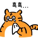 옷고르는고양이