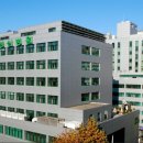 통영굴밥 이미지