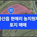 현애리농장 네이버블로그