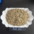 원종농장 | 생두리뷰/지에스씨(GSC)/그린비너(13기)/[브라질] 파젠다엄 옐로우 버번 보인하스 다크룸