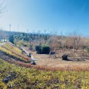 제주그루 이미지