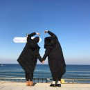 헌화로987 | [강원정동진] 헌화로 987 후기 / 정동진오션뷰호텔 / 정동진해맞이장소 / 새해 모래시계공원 불꽃축제