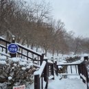 신선동-5 이미지