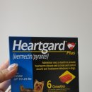 춘천태평양대형약국 이미지