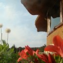 산너머남촌 이미지