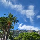 허수아비 이미지