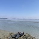 씨유태안몽산포행운점 | 몽산포 태안여행코스 '종가집' 신동엽도 들렸던 직접 키운 토종닭의 위엄, 인생 백숙