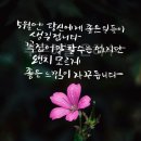 캘리그라피 필사 이미지