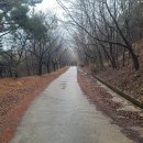 아라메길 (삼길나루길-벚꽃길) 이미지