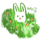 베이크포유 이미지