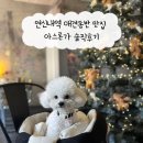 연신내역 | 연신내역 애견동반 맛집 아스론가 솔직후기