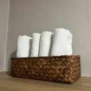 스테이오즈 이미지