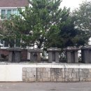 금성리 노인회관 이미지