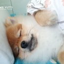 늘, 보리