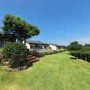 서쪽강생이 이미지