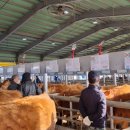 함평축협동물병원 이미지