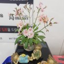 호평할인마트 이미지