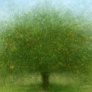 하례학림로 이미지