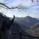 정봉마을화장실 | 2024 여행가는달 템플스테이 장성 백양사 휴식형 추천 후기(feat 홍매화)