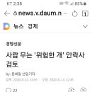 사람 무는 위험한개 안락사 검토 이미지