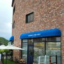 여수포펫 | 강아지와 가기 좋은 애견카페 반려견동반카페 여수포펫 내돈내산