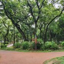 남해-184 이미지