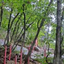 삼거리산장 이미지