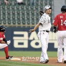 일석이조 이미지