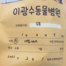 이광수동물병원 이미지