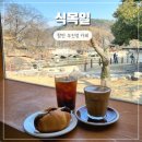1360 | 경남 함안 카페 무진정 근처 식목일