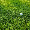 해저드 스크린 골프연습장 이미지