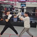 오스타짐 이미지