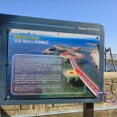 화석 | 포항 여남동 화석산지, 바다 위를 걷는 시간