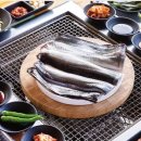 정직한장어