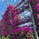 대박한국행정사사무소 이미지