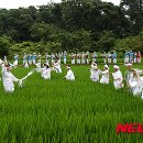 (주)들녘 이미지