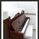 르네상스음악학원 이미지