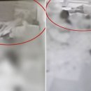 제천어린이집 이미지