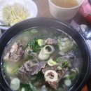 돈 갈비 | 당리동 갈비 맛집 고고 갈비 내 돈 내산 후기