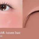 메이크업데일리