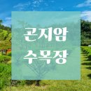 해송목장 | 곤지암 수목장 중가족형 구성 살펴보기