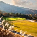 에이치원 이미지