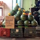 원플러스원 이미지