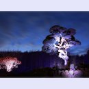 별빛정원B 이미지