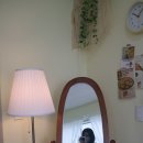 플로우데이 앞 이미지