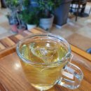 진천종합버스터미널 | 진천종합터미널 근처 감성카페 추천 : 매니아카페