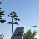 승리체육관 | 고양체육관 직관 후기🏀 고양 소노 스카이거너스 경기🔥